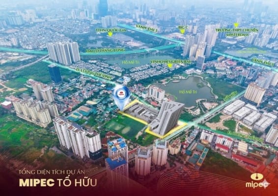 Vị trí thực tế Mipec Tố Hữu